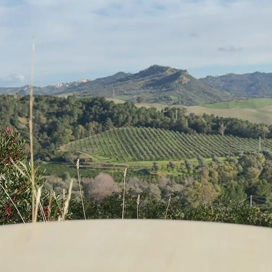 Le Colline Tomatensoße mit Basilikum 330g Video