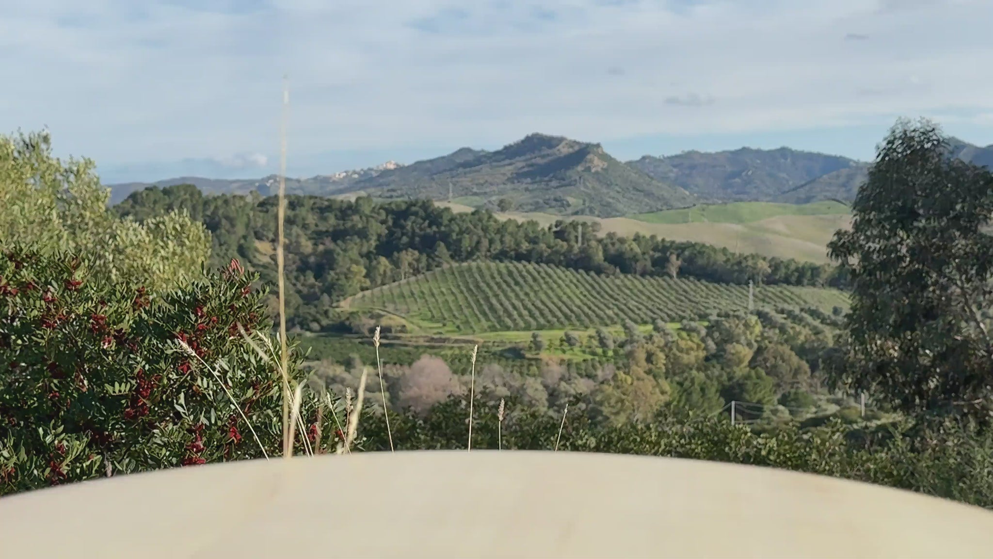 Le Colline Tomatensoße mit Basilikum 330g Video