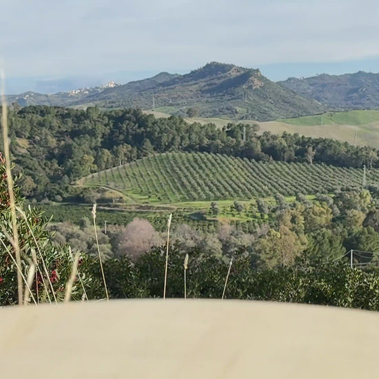 Köstliche Tomatensoße mit Pilzen aus Italien Video