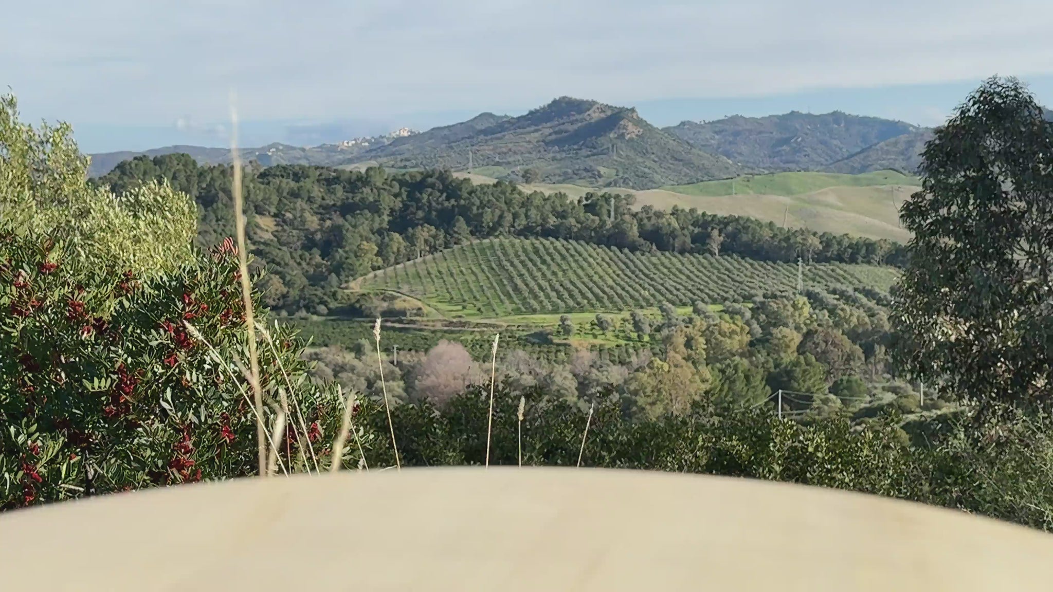 Köstliche Tomatensoße mit Pilzen aus Italien Video