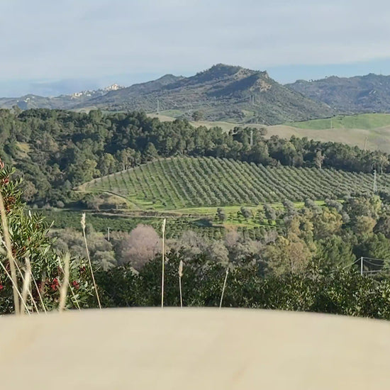 Tomatensoße arrabbiata aus Italien 180g Video