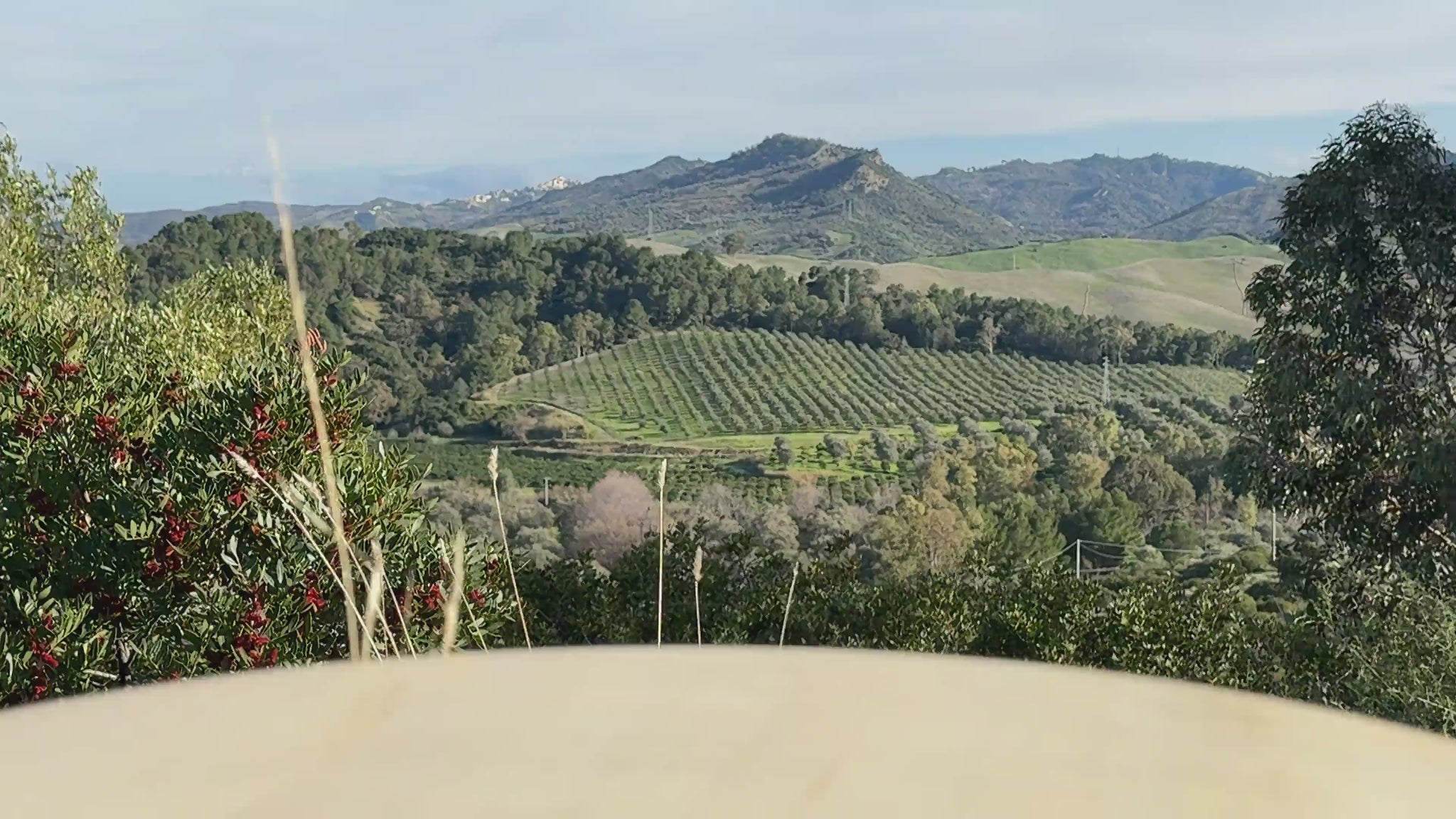 Tomatensoße arrabbiata aus Italien 180g Video