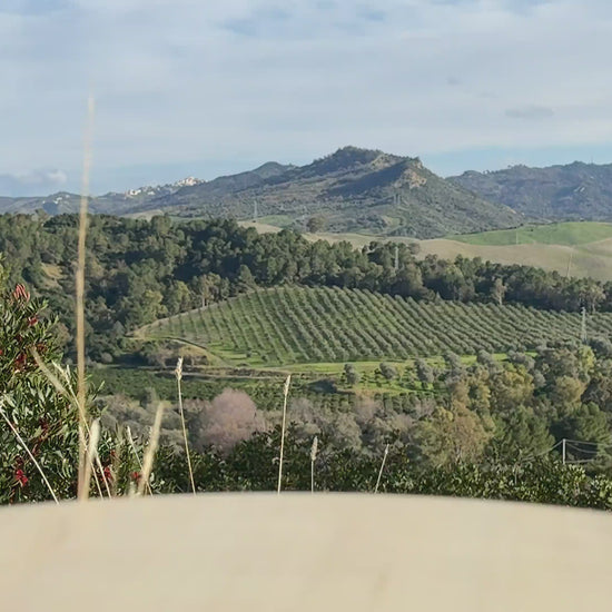 Tomatensoße Bolognese aus Italien 330g Video