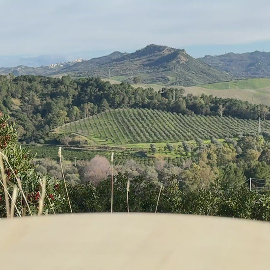 Tomatensoße mit Trüffel aus Italien Video