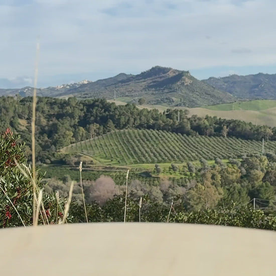 Tomatensoße mit Gemüse aus Italien Video