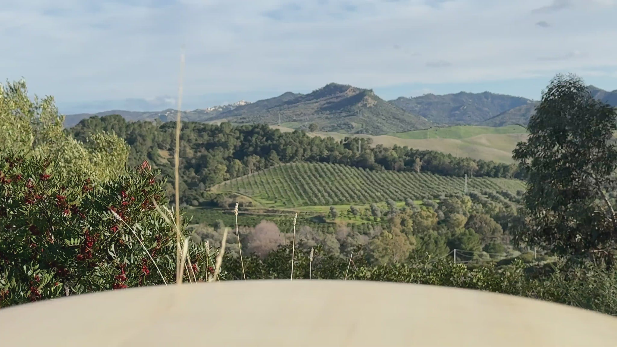 Tomatensoße mit Gemüse aus Italien Video