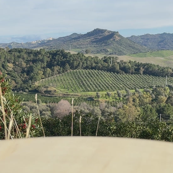 Le Colline Tomatensoße mit Basilikum aus Italien 180g Video