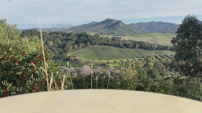 Le Colline Tomatensoße mit Basilikum aus Italien 180g Video