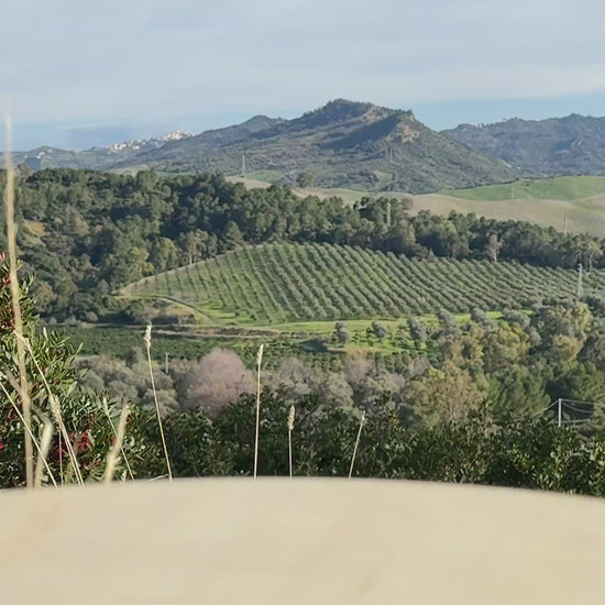 Tomatensoße Bolognese aus Italien 180g Video