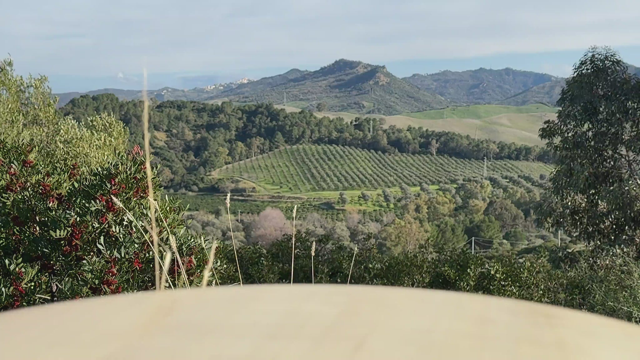 Tomatensoße Bolognese aus Italien 180g Video